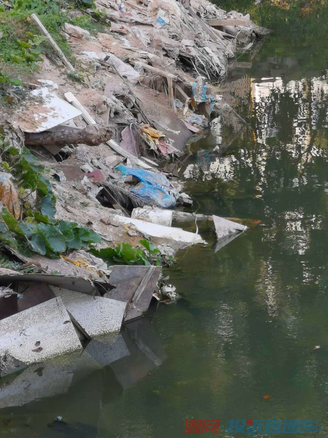 海南陵水椰林湾沙鸥园小区污水乱排放