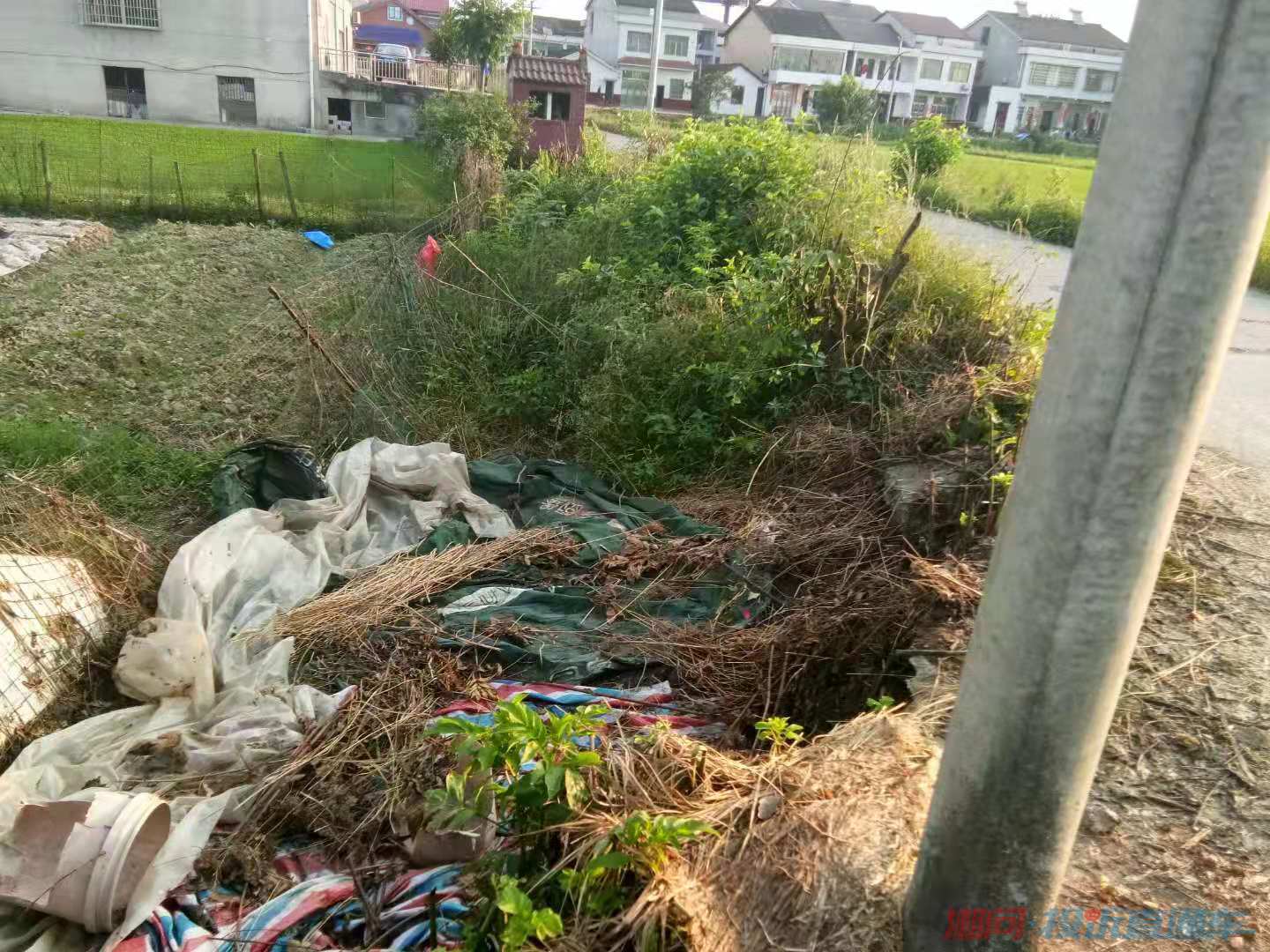 益阳市资阳区新桥河镇爱屋湾村郭某倾倒未经处理新鲜鸡粪至村级公路边