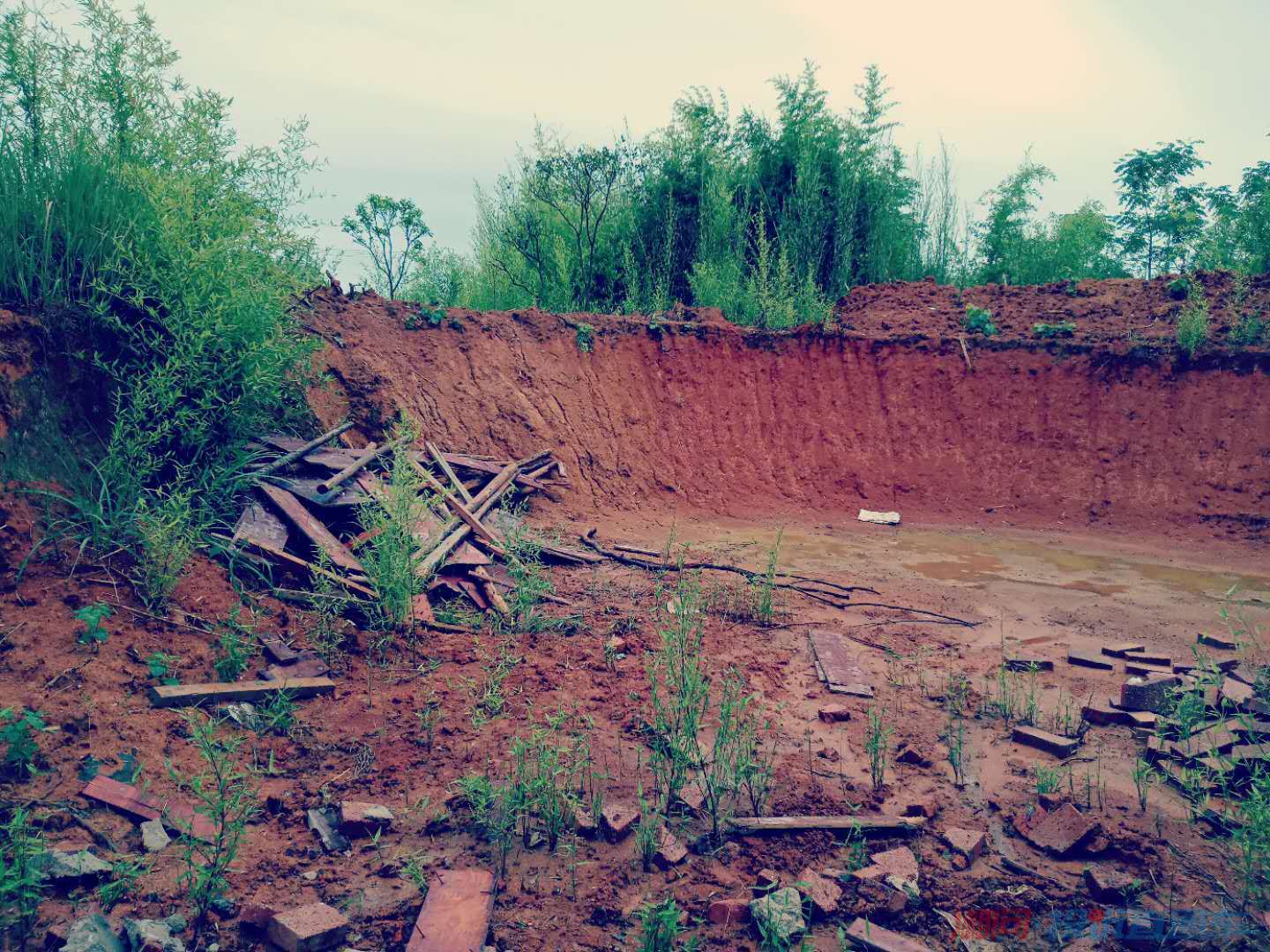 農村亂佔耕地建房問題何時休?