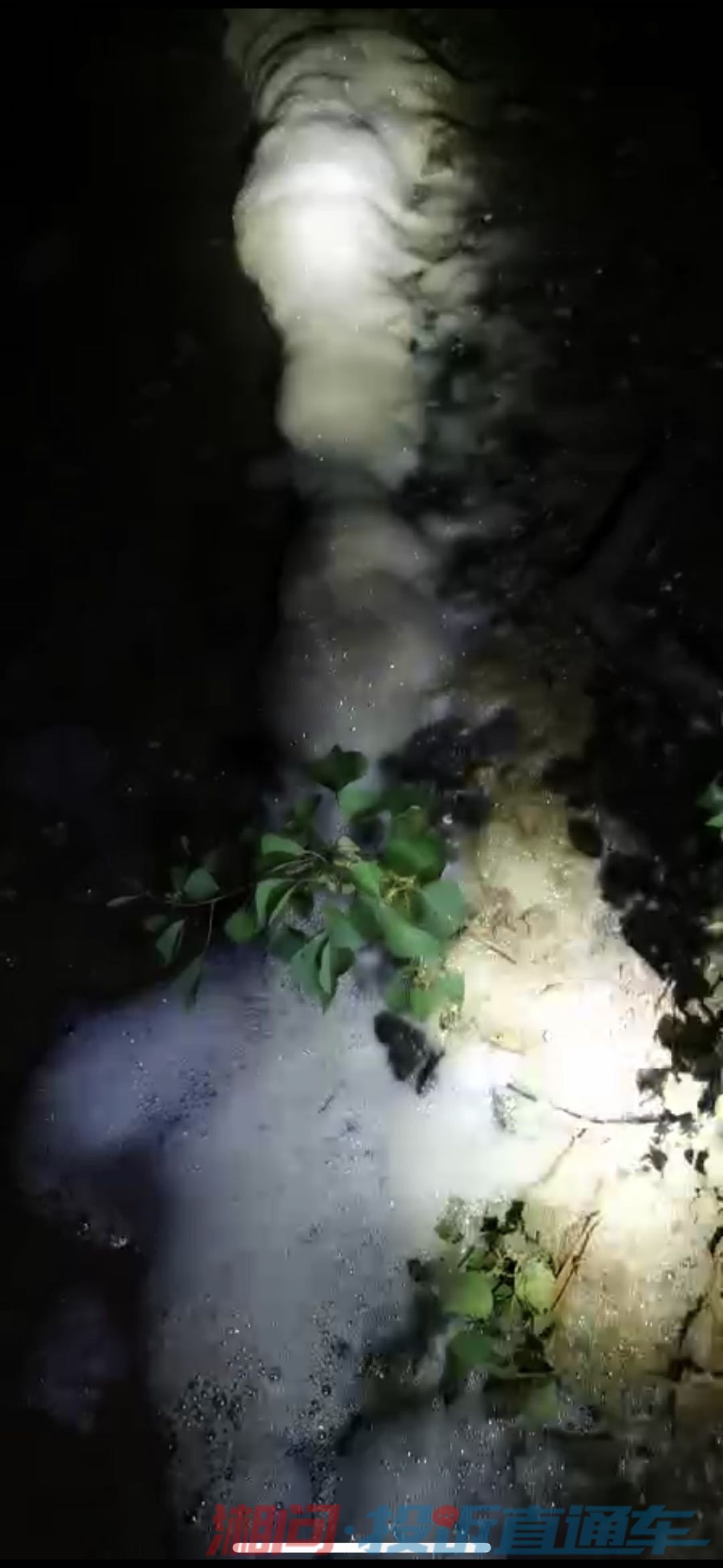 排放口河道。