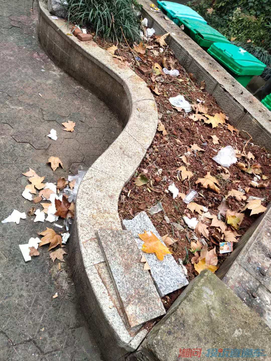 这是隔壁的花坛,没有植物垃圾满地,让城管部门这边也一起栽种,他们说